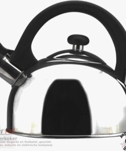 Borvat® - Waterkoker- RVS Theeketel - Fluitketel - met bakelieten handvat - Krasbestendig - Waterkoker voor inductiekookplaten - gaskookplaten - elektrische - kookplaten - Zilver